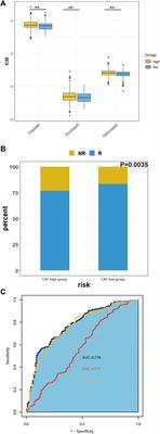 Integrated single-cell and bulk RNA sequencing analyses reveal a prognostic signature of cancer-associated fibroblasts in head and neck squamous cell carcinoma